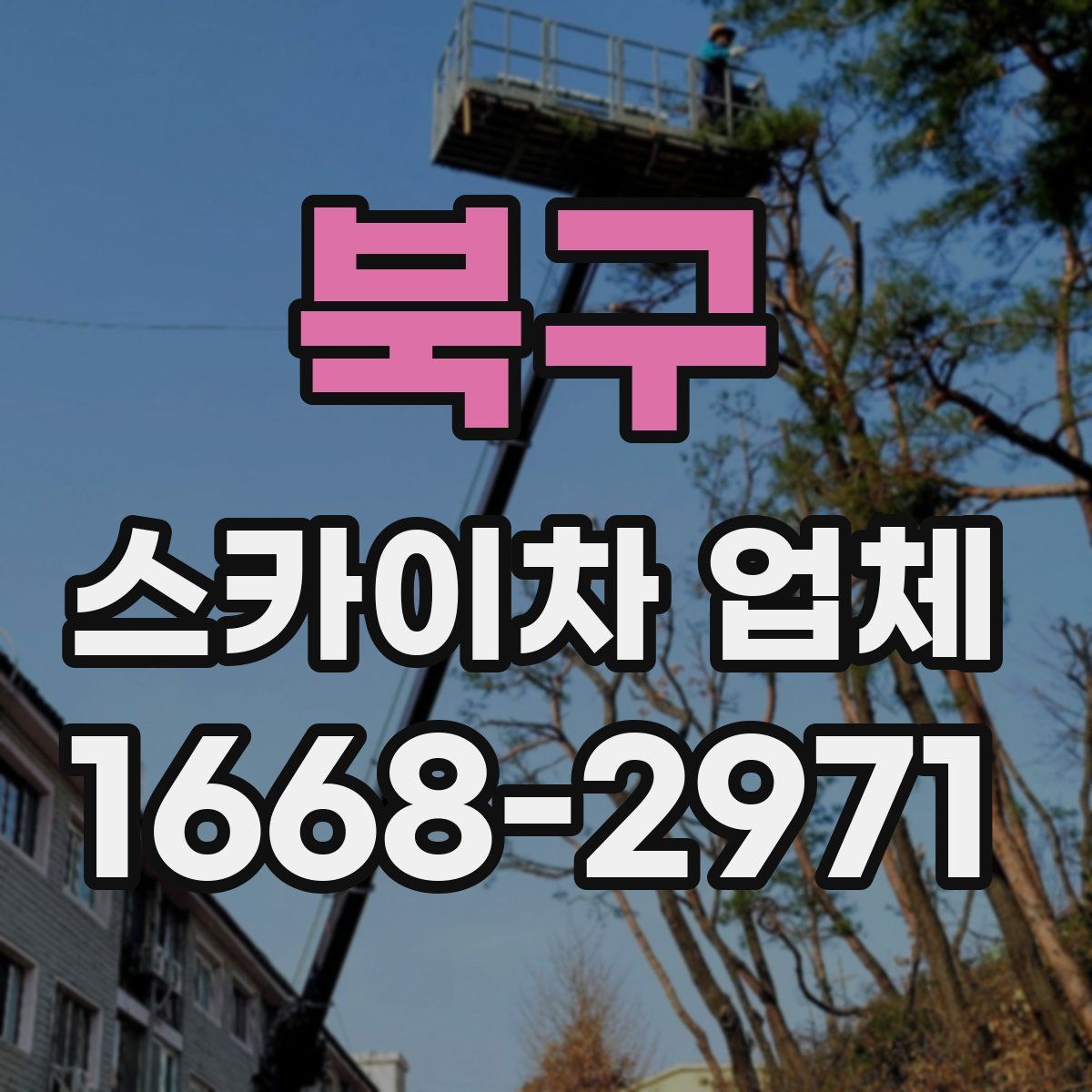 북구 스카이차 업체
