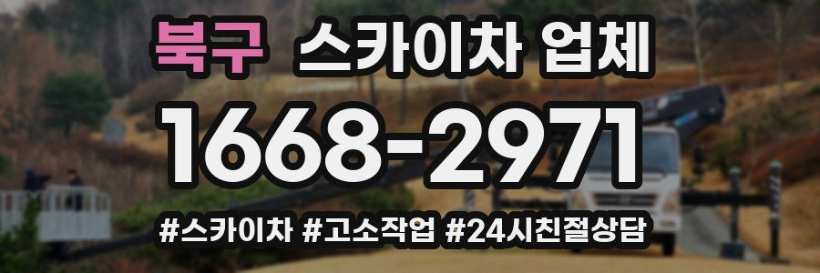 북구 스카이차 업체