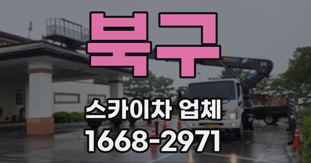 북구 스카이차 업체
