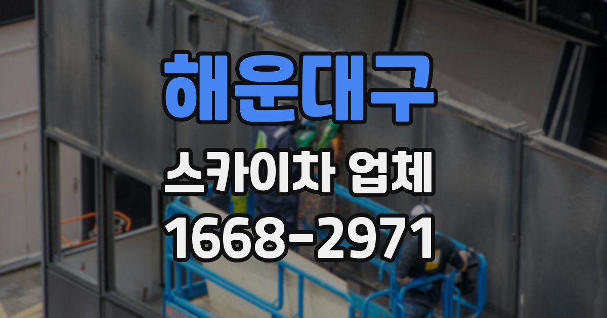 해운대구 스카이차 업체