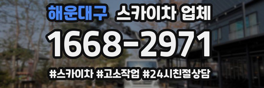 해운대구 스카이차 업체