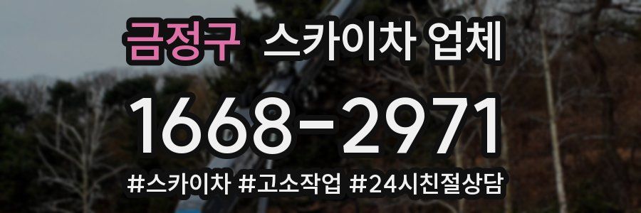 금정구 스카이차 업체