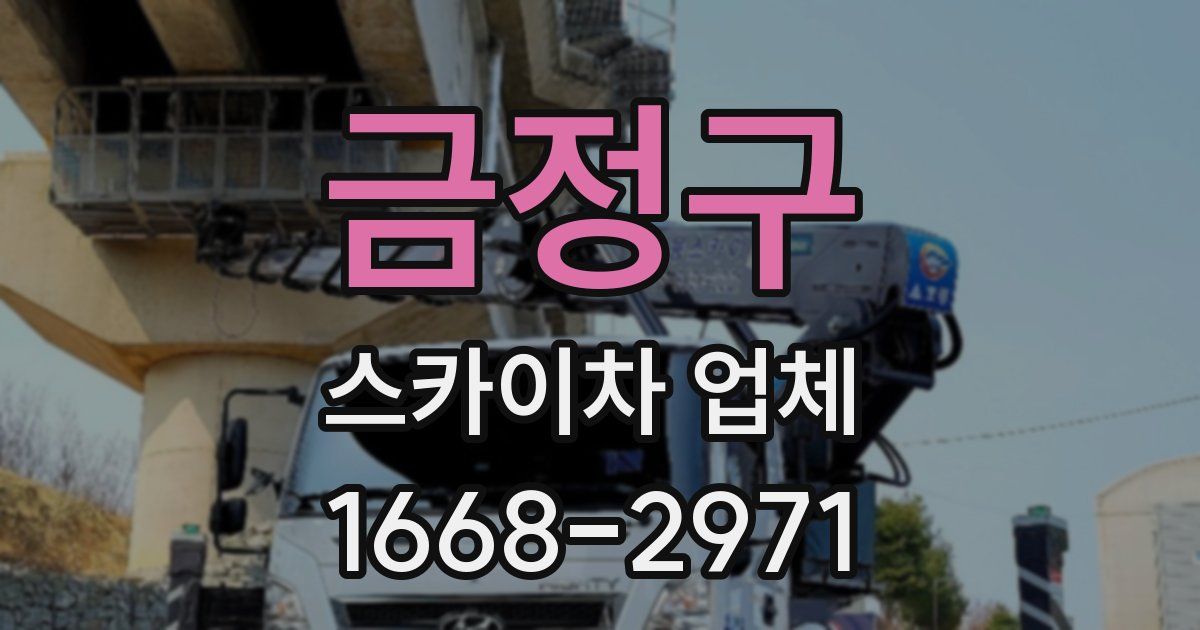 금정구 스카이차 업체