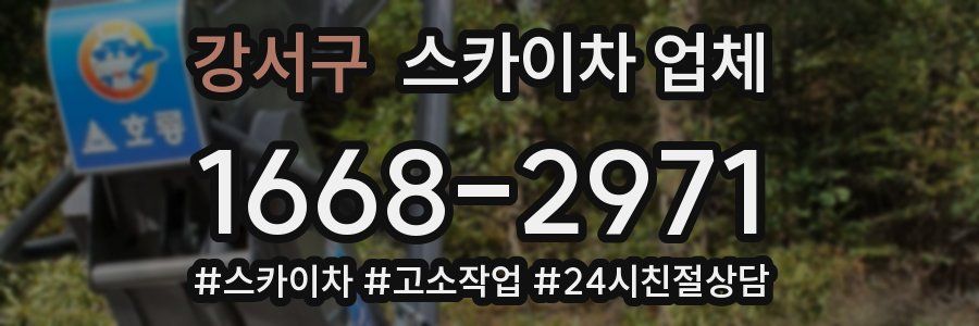 강서구 스카이차 업체