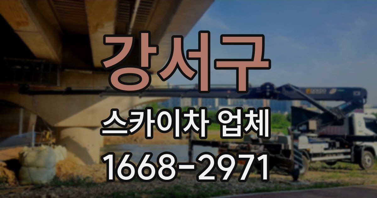 강서구 스카이차 업체