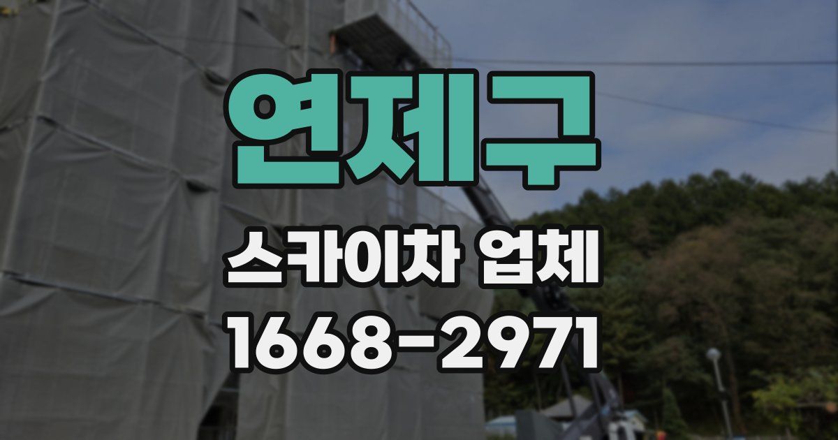 연제구 스카이차 업체