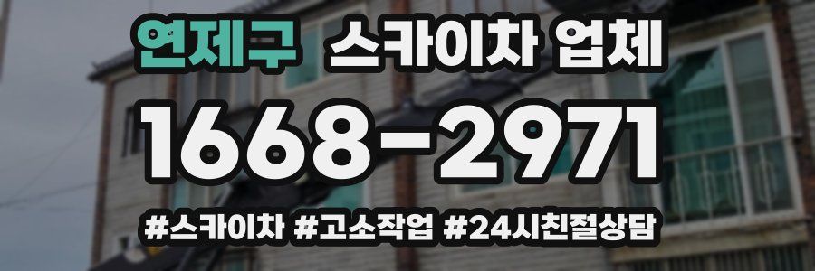 연제구 스카이차 업체