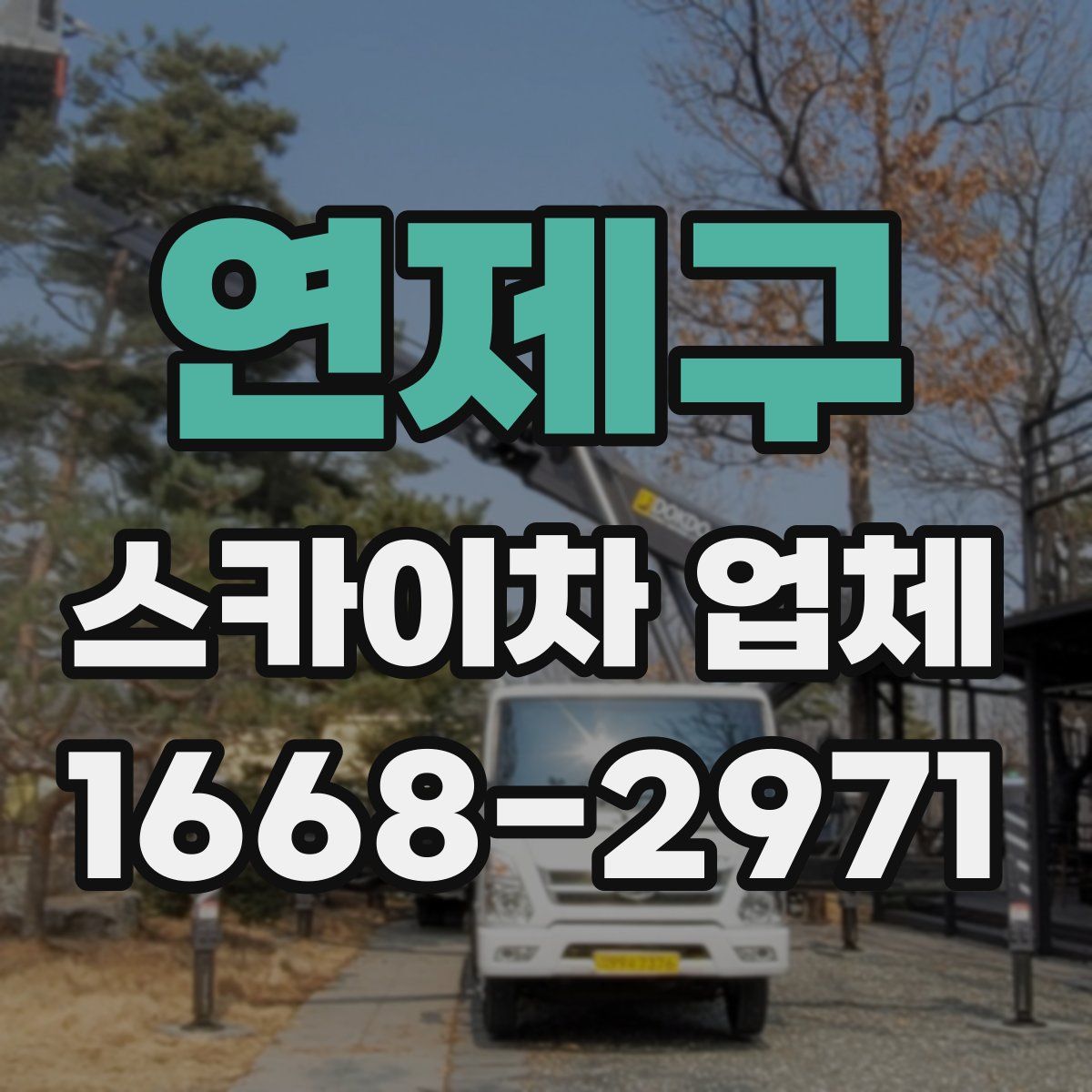 연제구 스카이차 업체