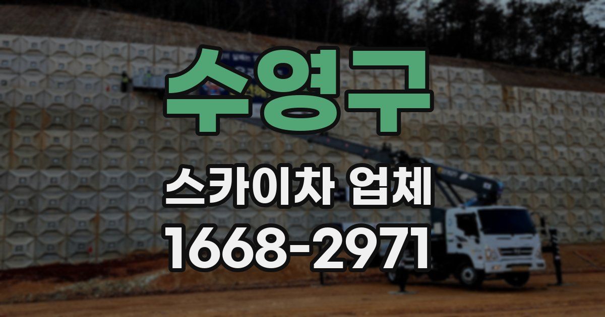 수영구 스카이차 업체