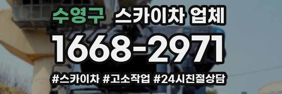 수영구 스카이차 업체