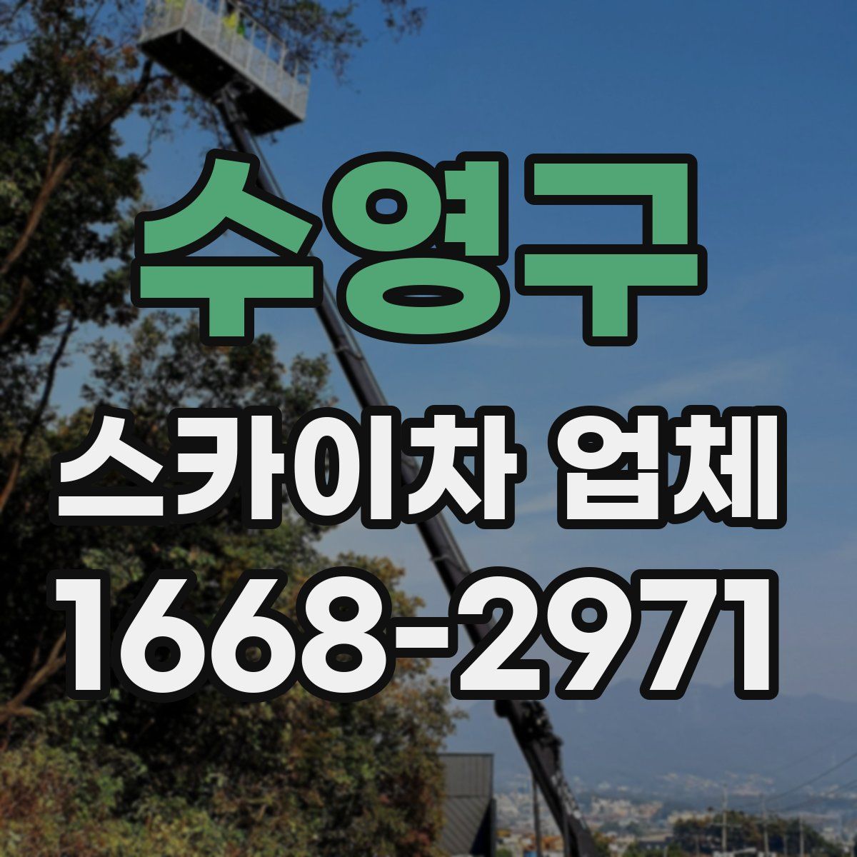 수영구 스카이차 업체