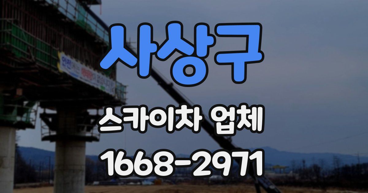 사상구 스카이차 업체