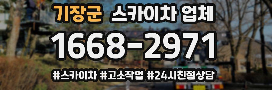 기장군 스카이차 업체