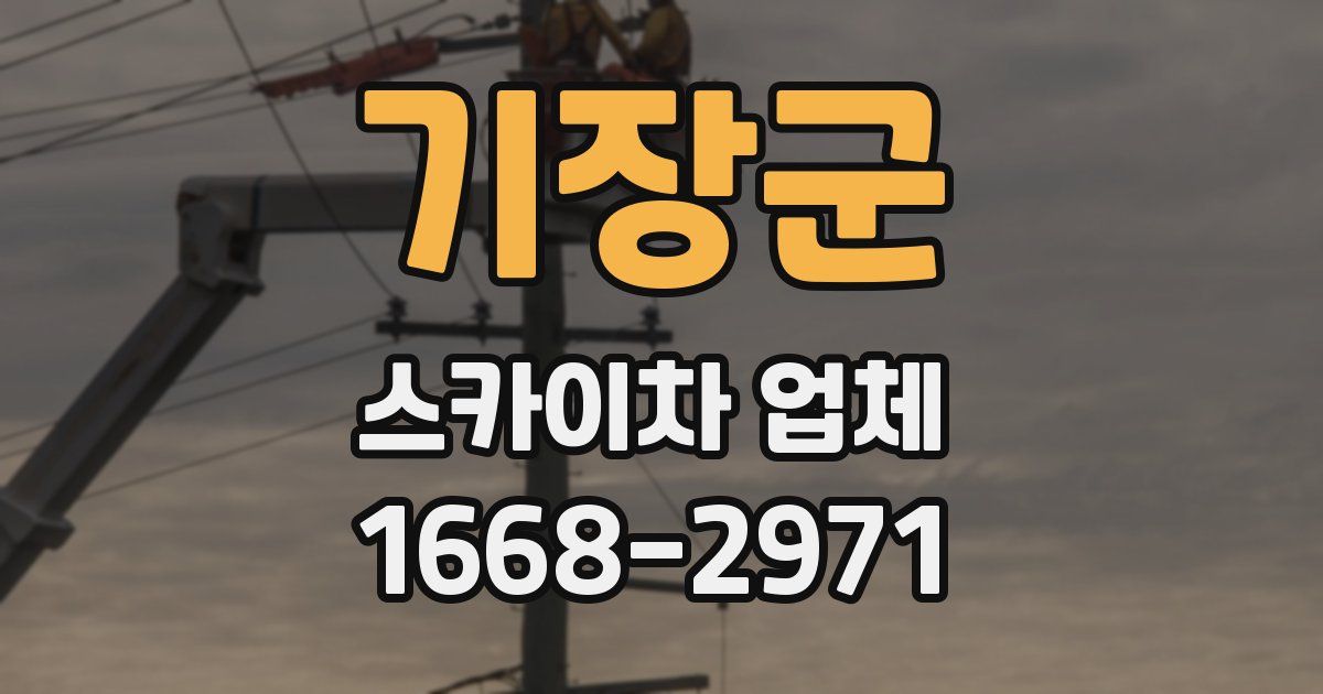 기장군 스카이차 업체
