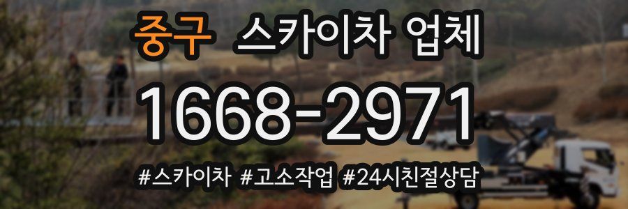 중구 스카이차 업체
