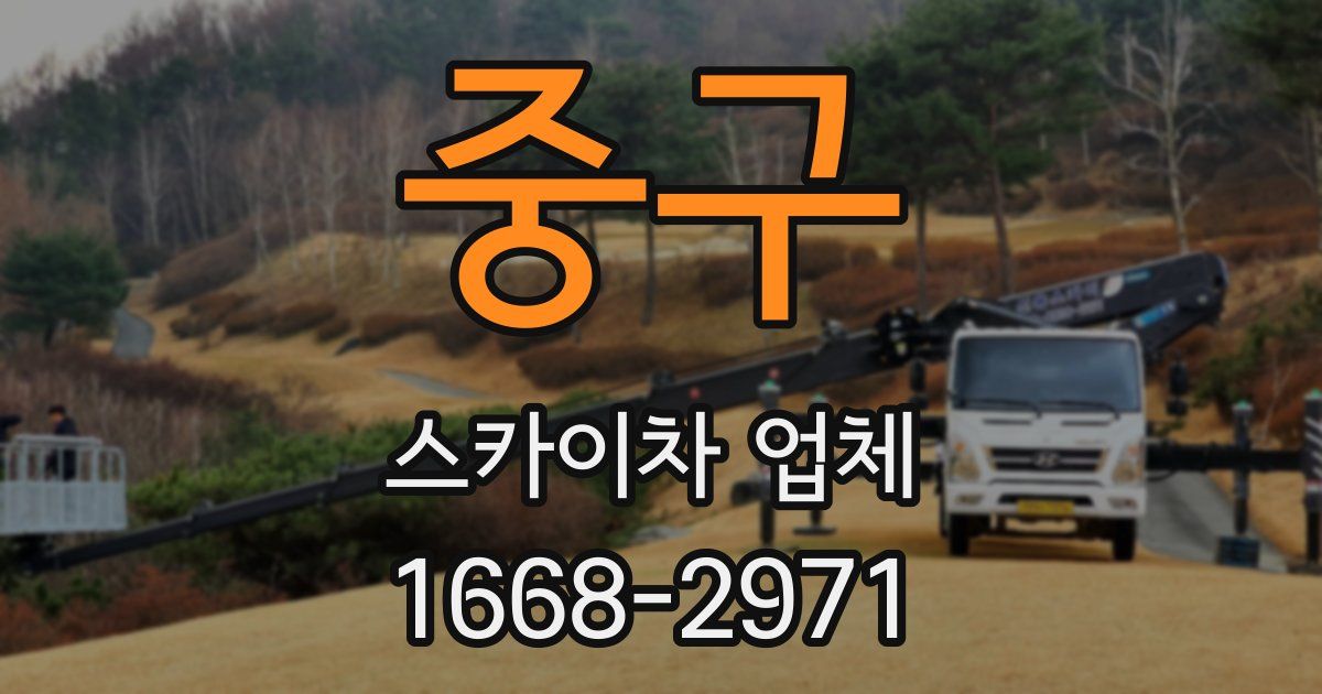 중구 스카이차 업체