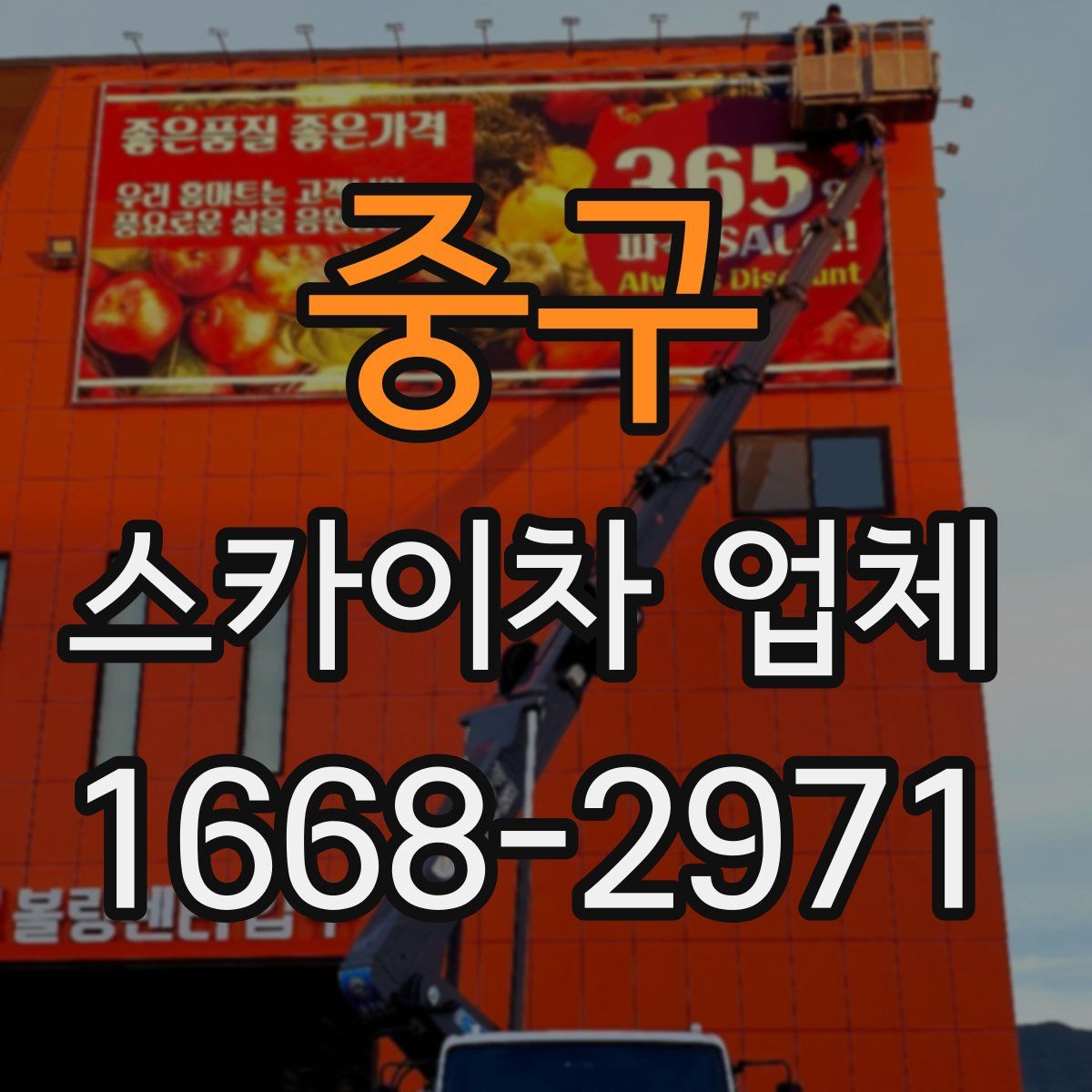 중구 스카이차 업체