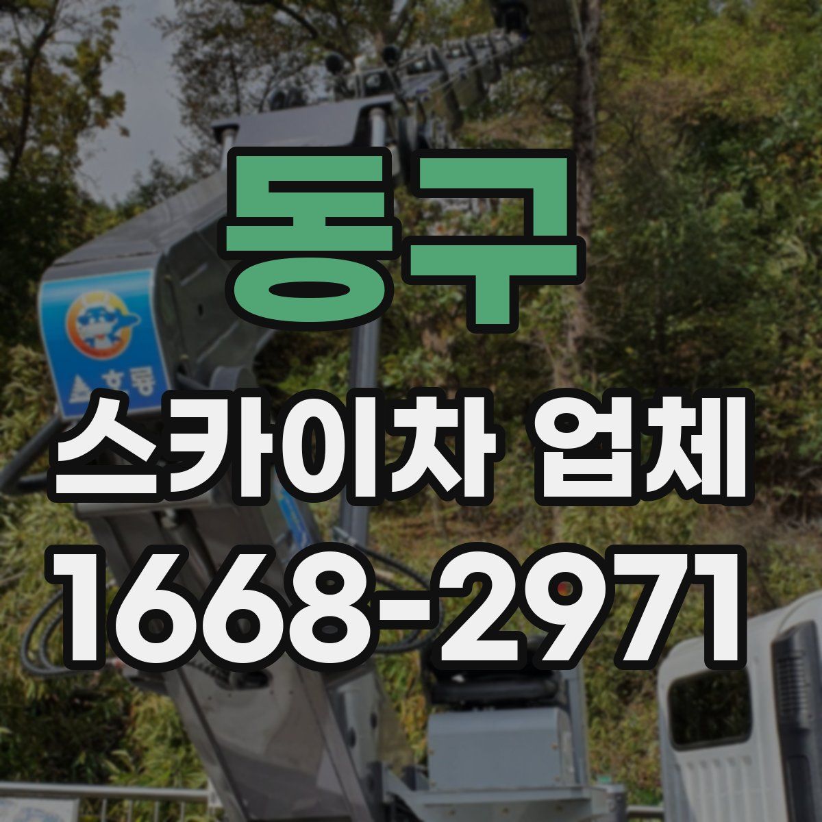 동구 스카이차 업체