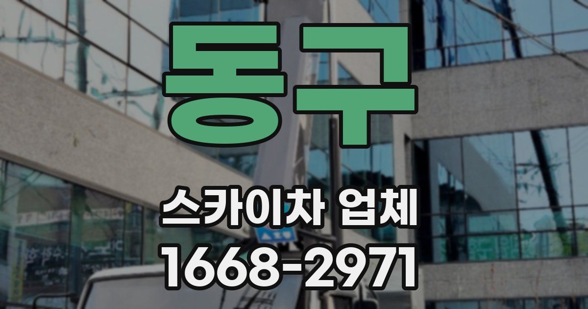 동구 스카이차 업체