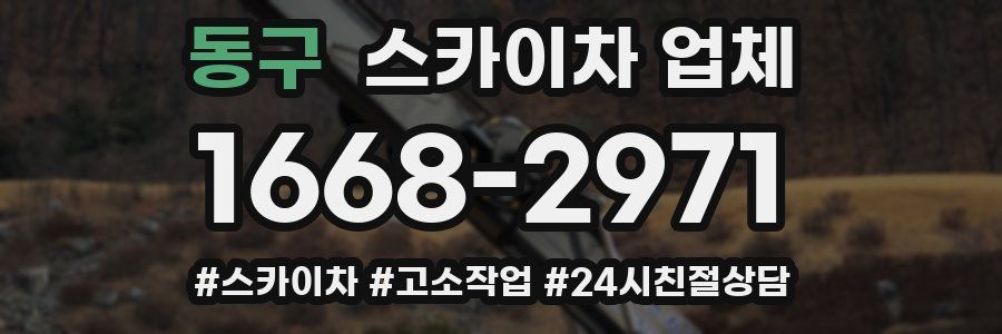 동구 스카이차 업체