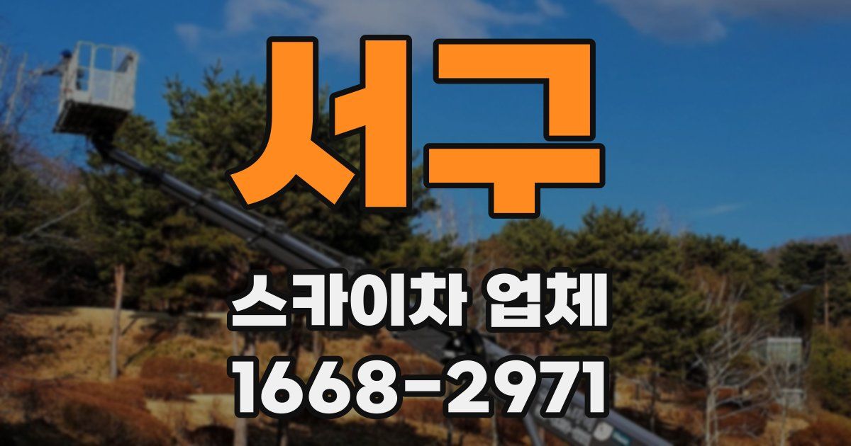 서구 스카이차 업체