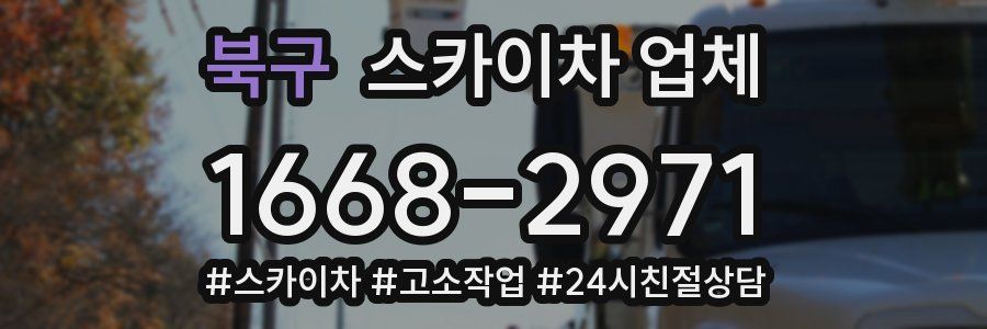 북구 스카이차 업체