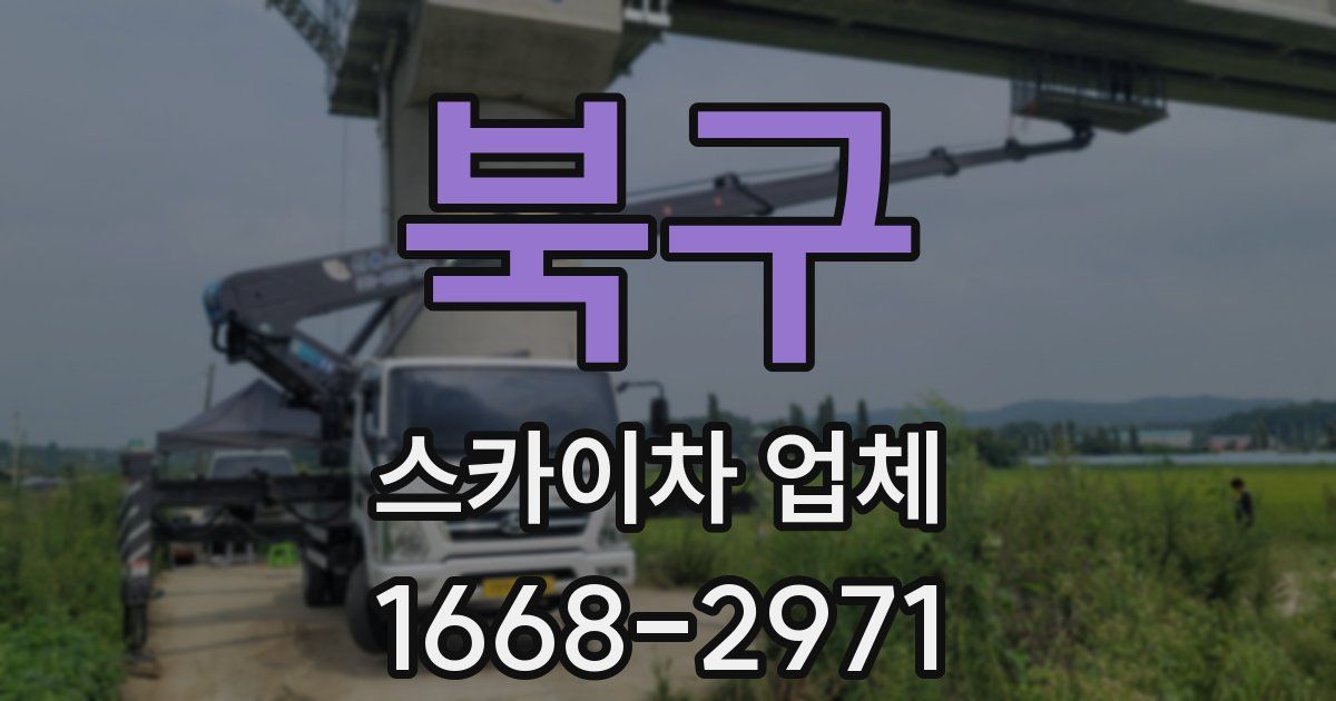 북구 스카이차 업체