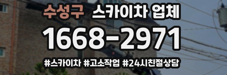 수성구 스카이차 업체