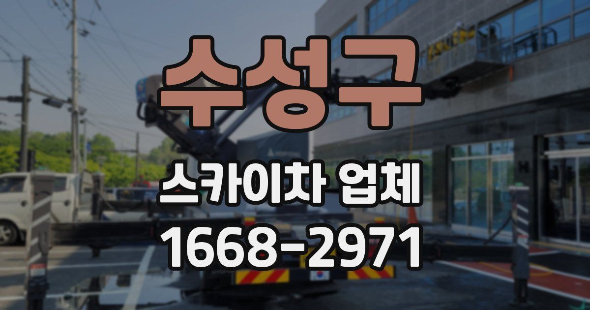 수성구 스카이차 업체