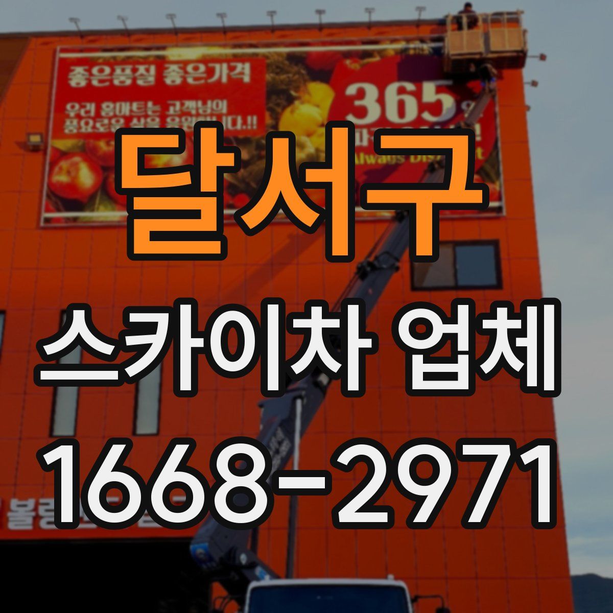 달서구 스카이차 업체