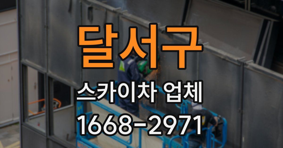 달서구 스카이차 업체