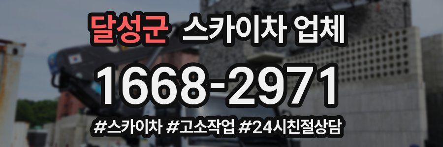 달성군 스카이차 업체