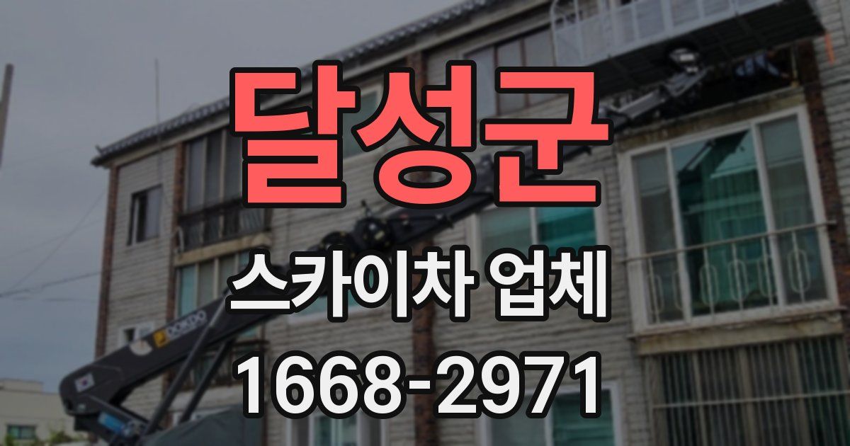 달성군 스카이차 업체