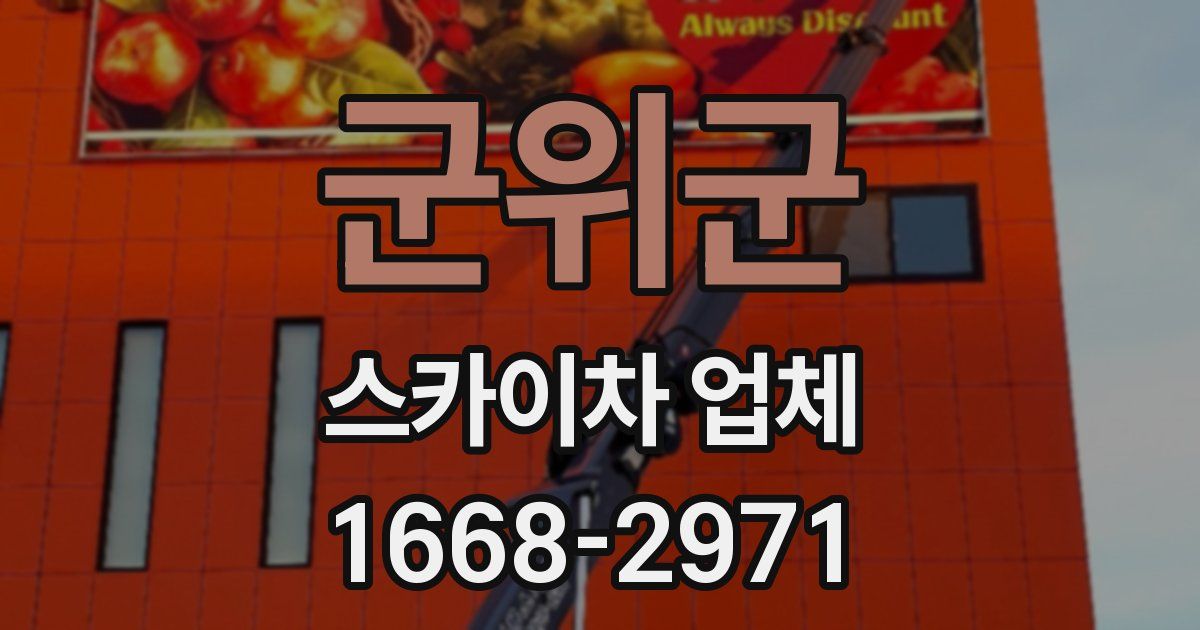 군위군 스카이차 업체