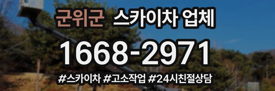 군위군 스카이차 업체