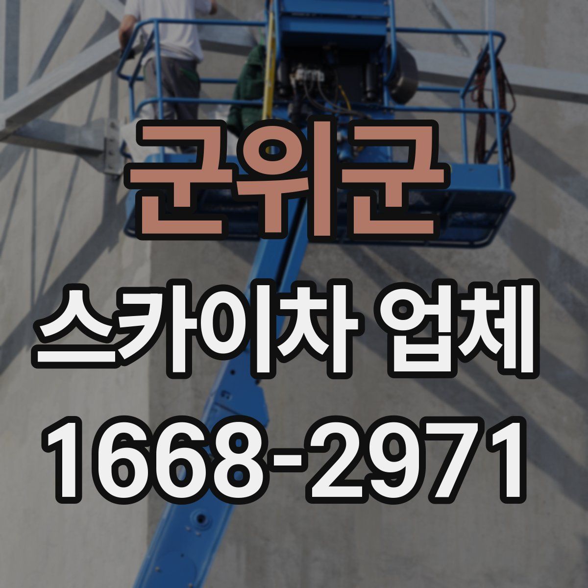 군위군 스카이차 업체