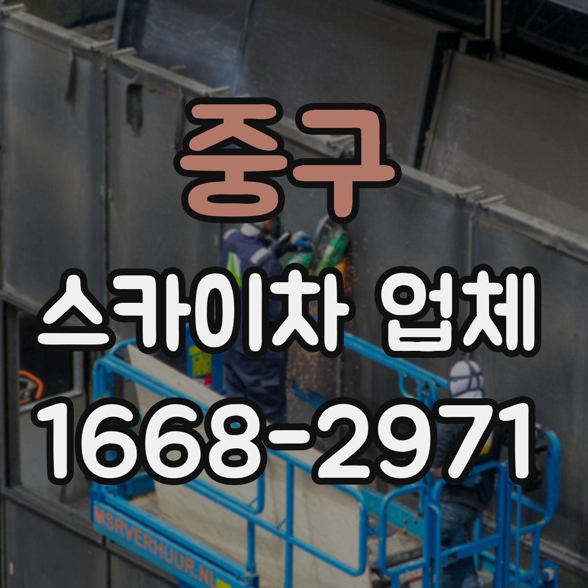 중구 스카이차 업체