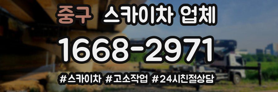 중구 스카이차 업체