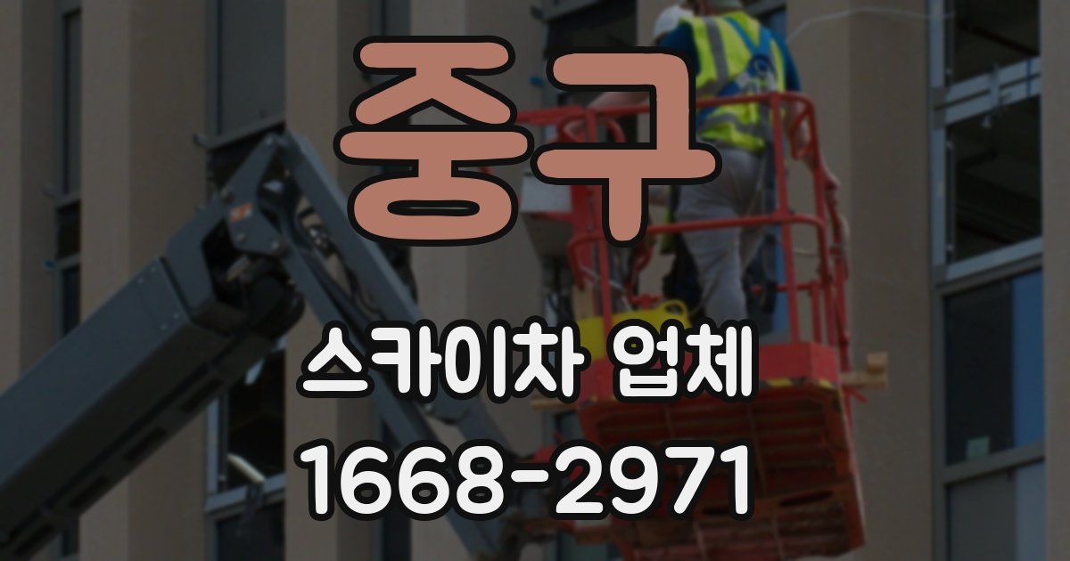 중구 스카이차 업체