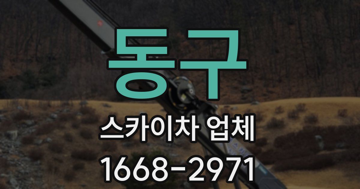 동구 스카이차 업체