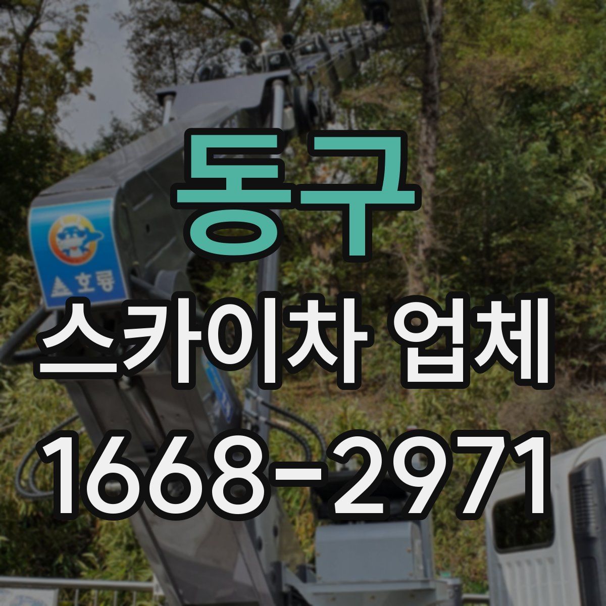 동구 스카이차 업체
