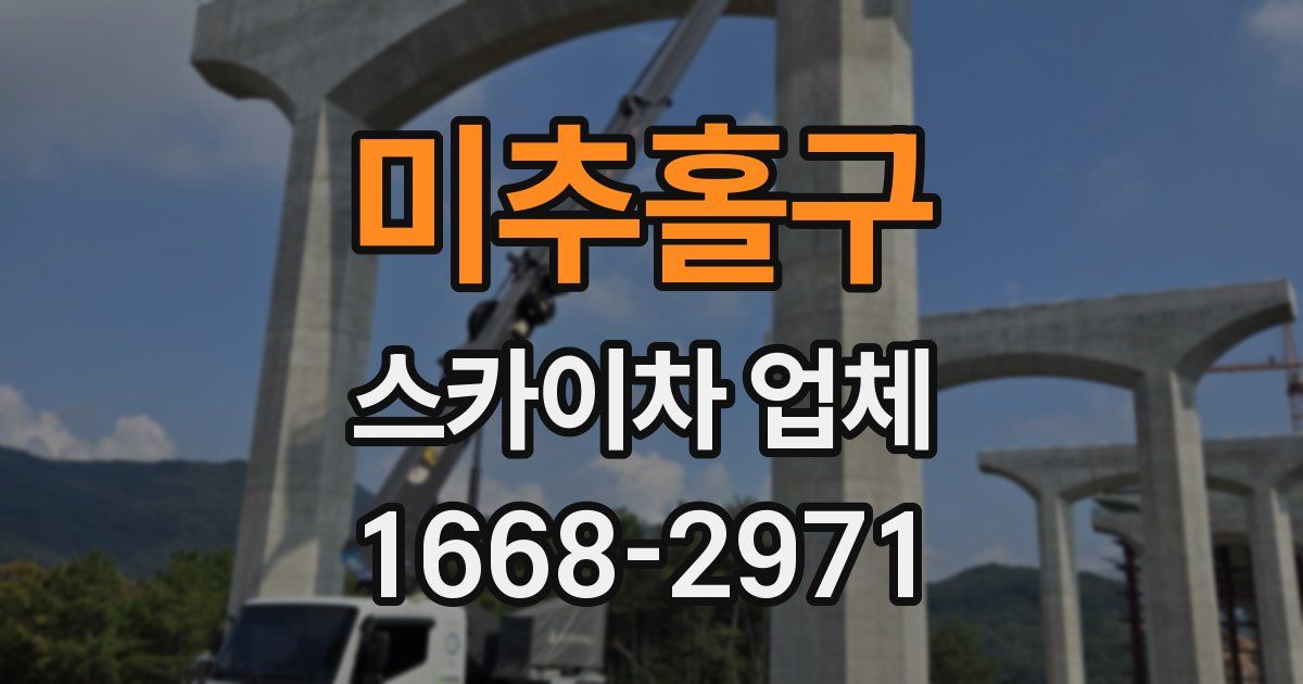 미추홀구 스카이차 업체