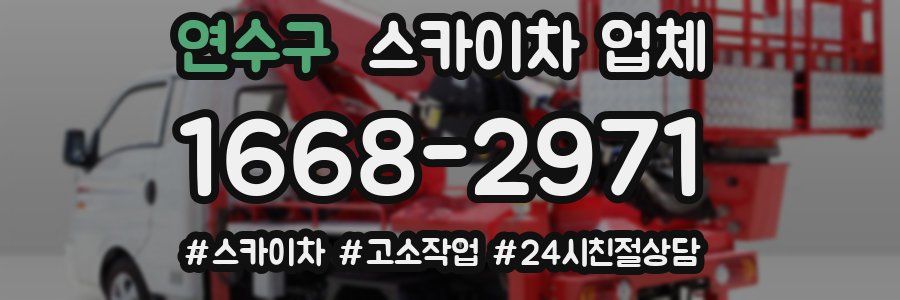 연수구 스카이차 업체