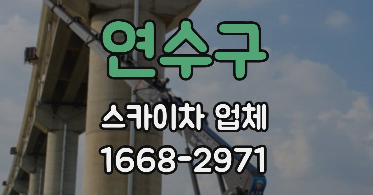 연수구 스카이차 업체