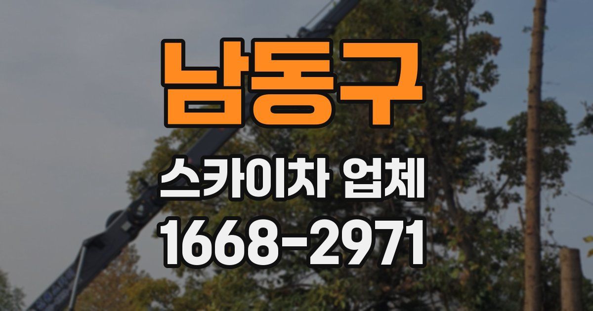 남동구 스카이차 업체