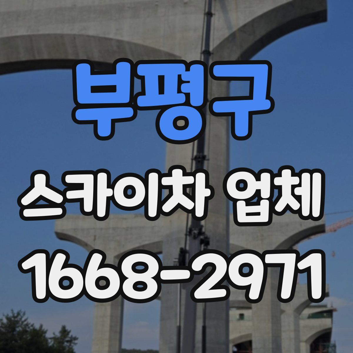 부평구 스카이차 업체