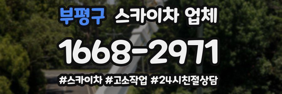 부평구 스카이차 업체