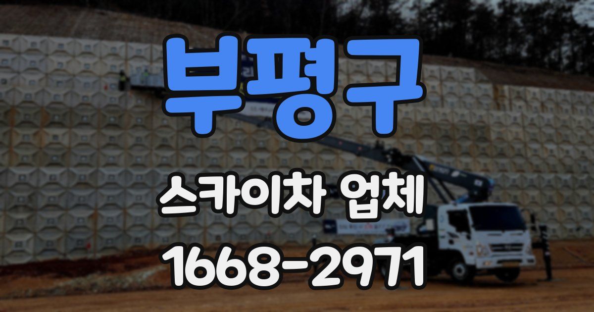 부평구 스카이차 업체