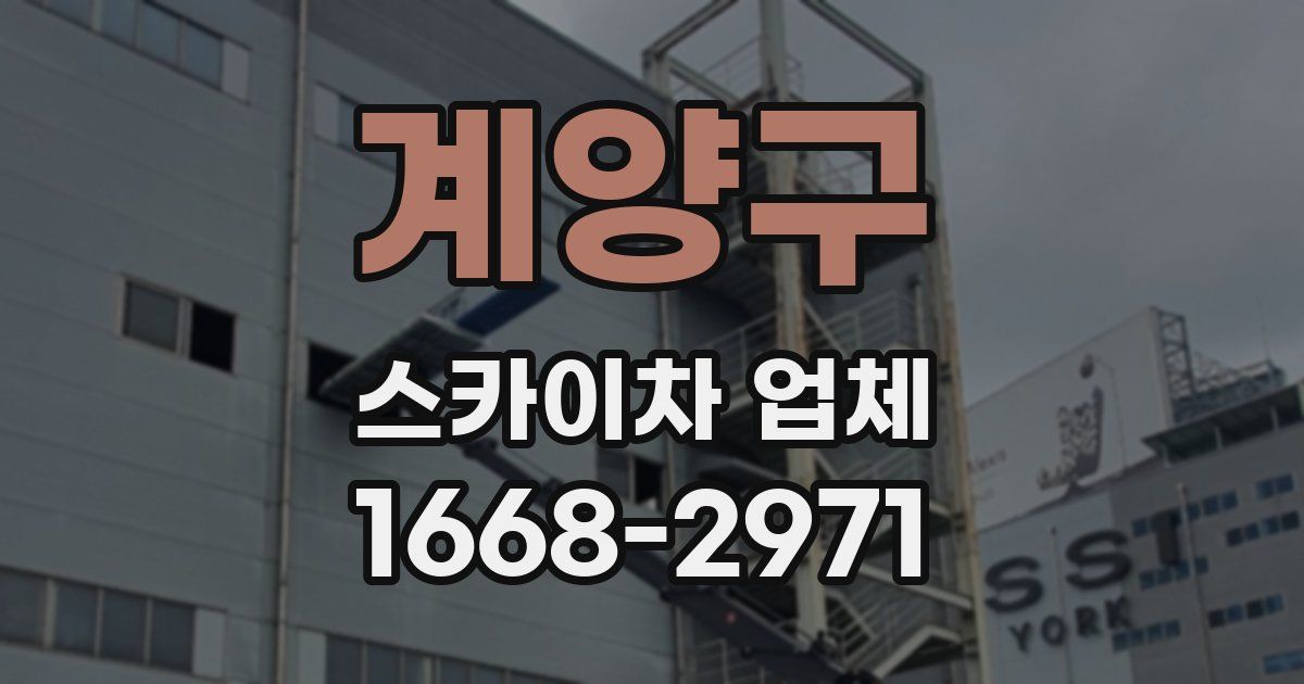 계양구 스카이차 업체