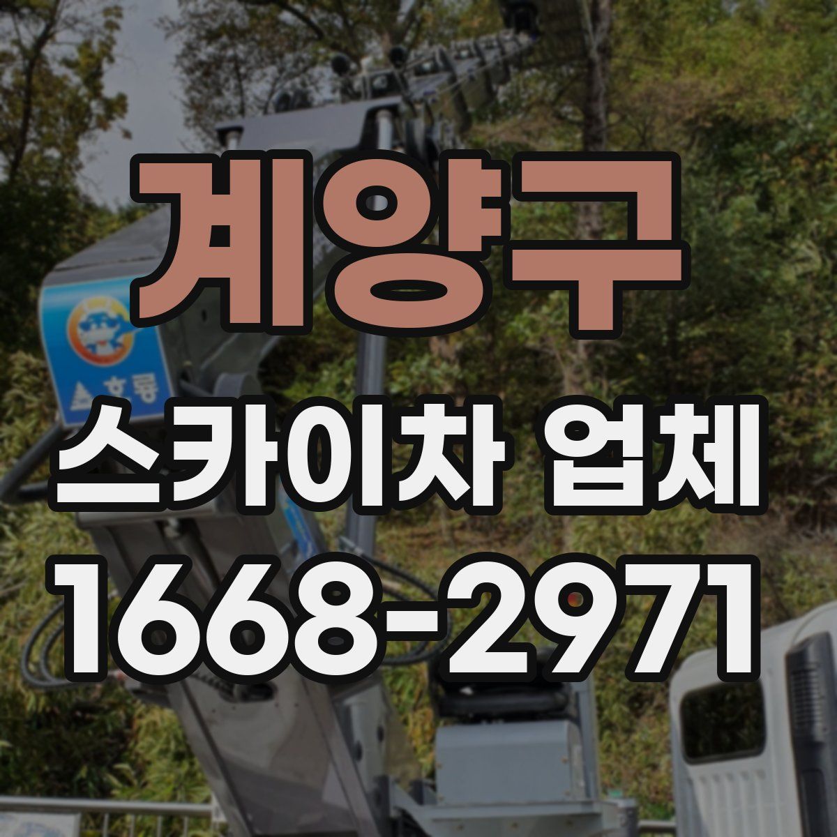 계양구 스카이차 업체